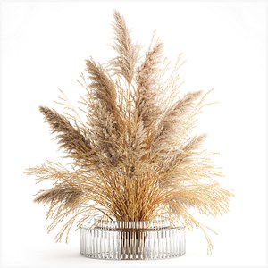 Dried flower bouquet cortaderia pampas reed vase 652 3D model