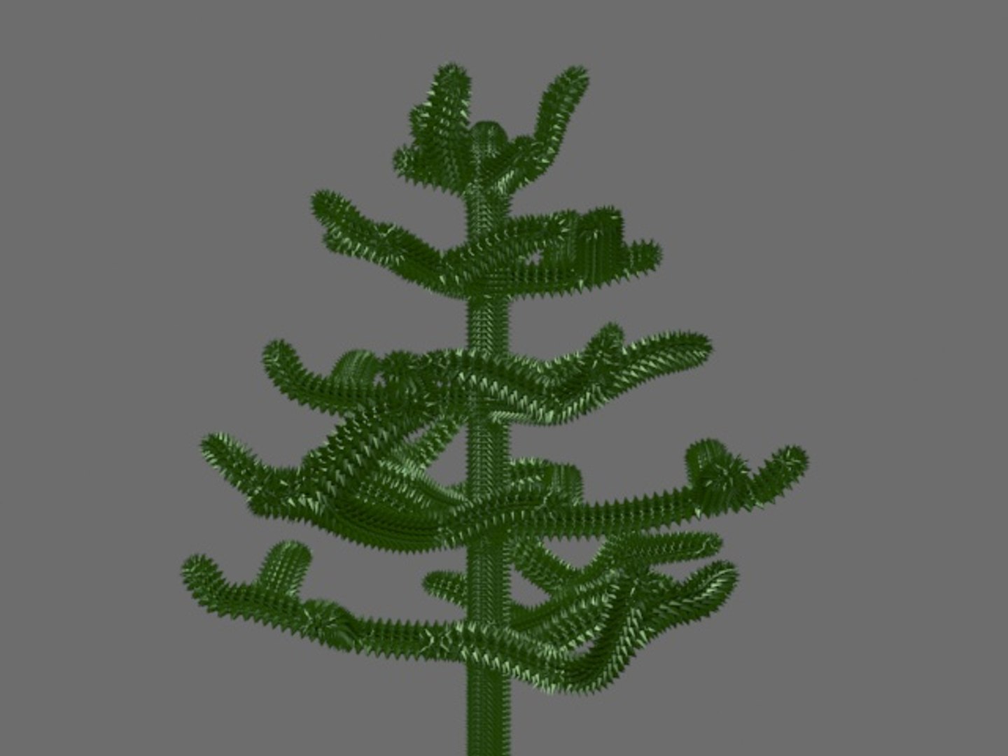 3d Model Monkey Puzzle Tree