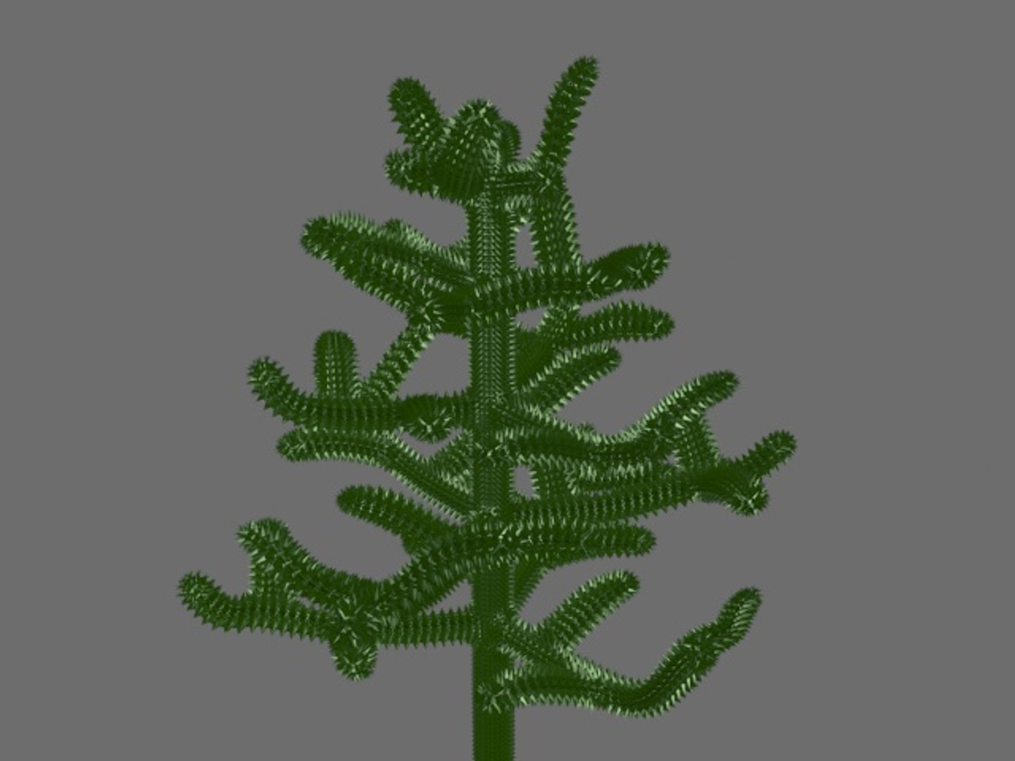 3d Model Monkey Puzzle Tree