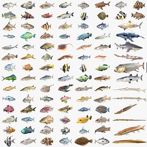 100 Fish and Sea Creatures Collection v1