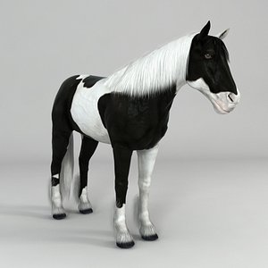 3d realistical horse model