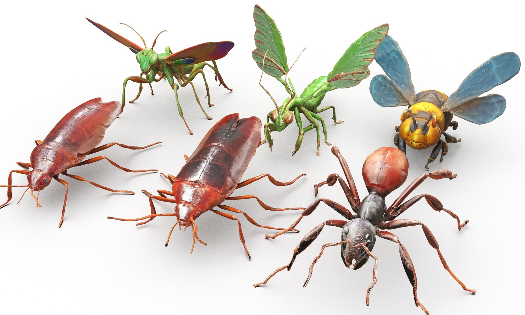 Insects Pack 3D Model - TurboSquid 2316098