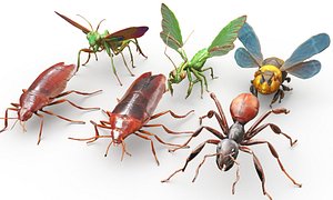 Insects pack 3D model