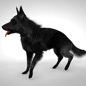 solid black german shepherd 3D model