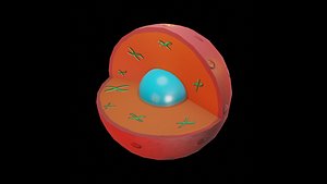 3D model CELL NUCLEUS Low-poly 3D model