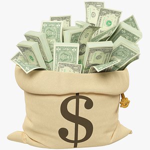 Money Bag V20 3D model
