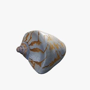 3D Anydrafts Sea snail 05 model