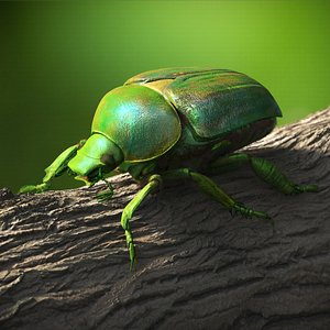 Glossy Scarab Green Fur model
