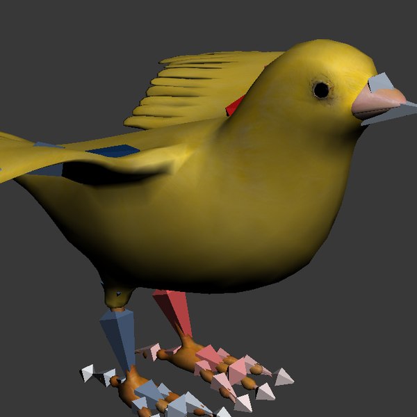 canary flying animation 3d 3ds