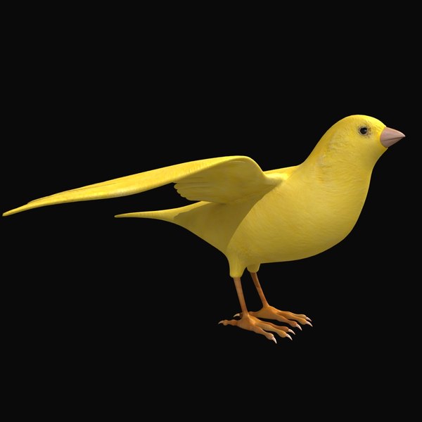 canary flying animation 3d 3ds