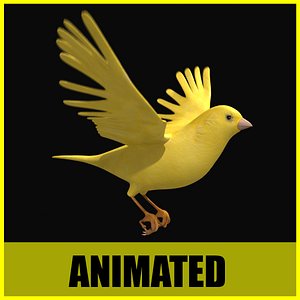 Canary - Animated
