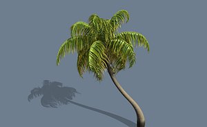 coconut palm tree looped model