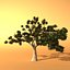 trees 3d model