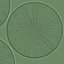 diatom