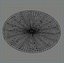 diatom