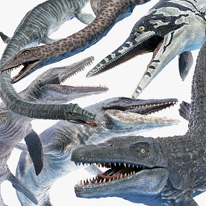 Dinopack Marine Animated