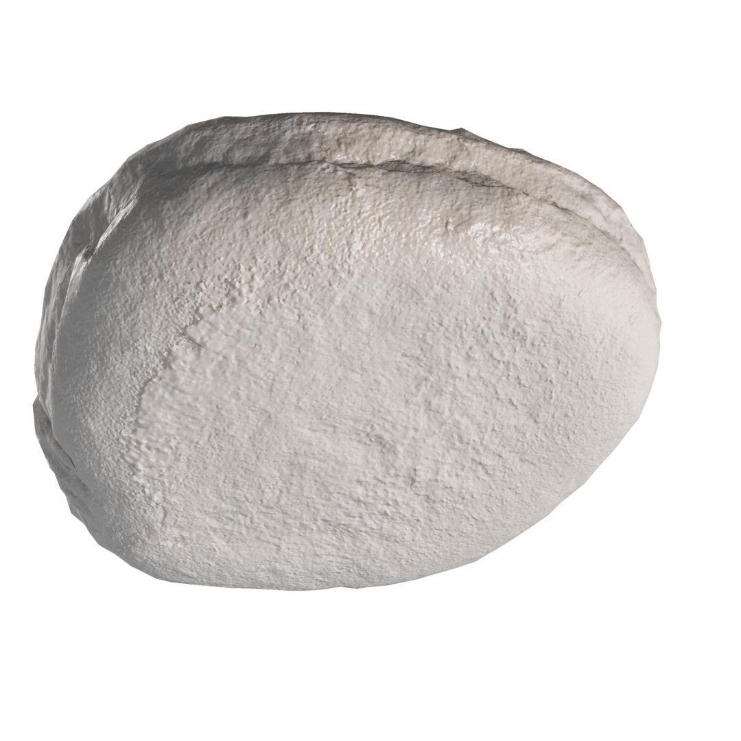 tty meat fo 3d 3ds https://p.turbosquid.com/ts-thumb/uC/vSPBjL/350ZzSHr/v0017/jpg/1330704584/1920x1080/fit_q87/db70eee5593b4bd394031e694633209bd4f2f35c/v0017.jpg