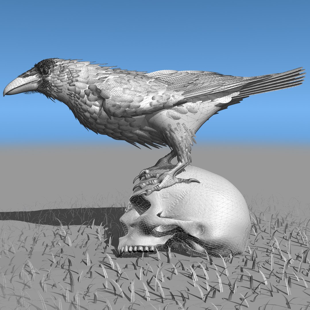 3d common raven https://p.turbosquid.com/ts-thumb/uC/vYKnm7/29fMjCJ8/ravenwireframe06/jpg/1361326284/1920x1080/fit_q87/cb4a04c48ca83ac275df4ccd28b4b3d8193a9224/ravenwireframe06.jpg
