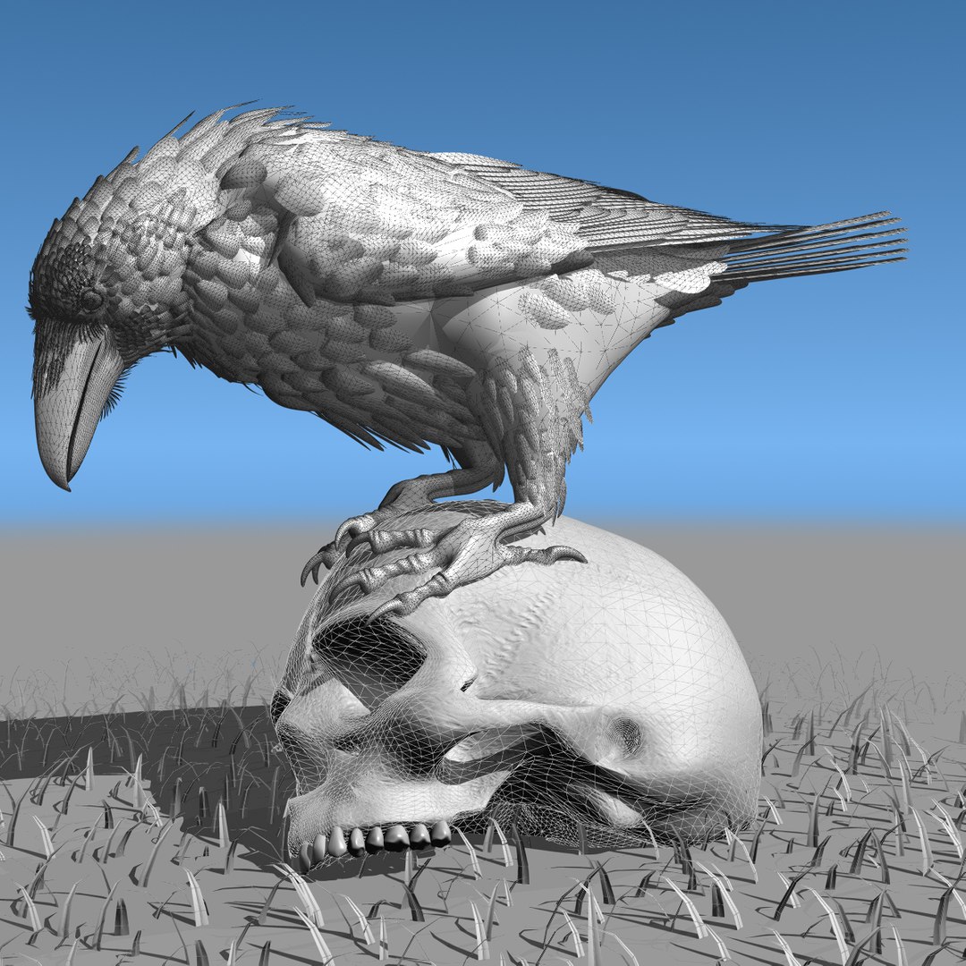 3d common raven https://p.turbosquid.com/ts-thumb/uC/vYKnm7/Ka5KfZ73/ravenwireframe05/jpg/1361326284/1920x1080/fit_q87/713556d0247e26196ec7fb55b9b4943075aecf3c/ravenwireframe05.jpg