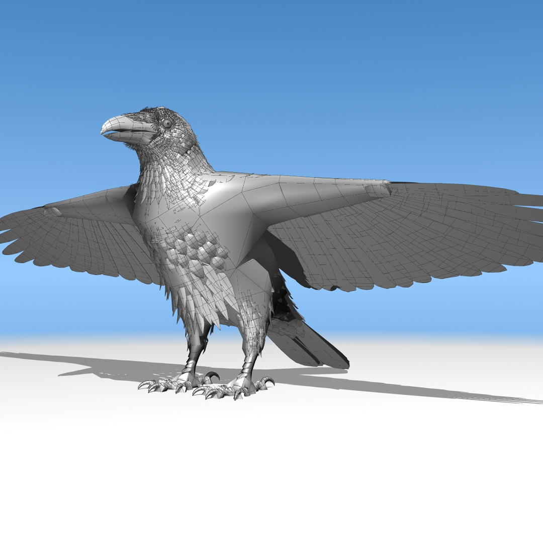 3d common raven https://p.turbosquid.com/ts-thumb/uC/vYKnm7/S8O2cNBH/ravengreylow/jpg/1361326654/1920x1080/turn_fit_q99/1ce82d944653f923332806cb73cc214044ab474b/ravengreylow-1.jpg