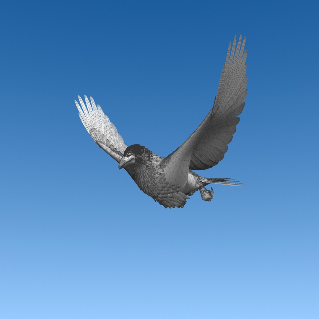 3d common raven https://p.turbosquid.com/ts-thumb/uC/vYKnm7/VerryL8Q/ravencam2/jpg/1361326932/1920x1080/turn_fit_q99/0ef961615fc1d39a6329367d0d552613ac4746b2/ravencam2-1.jpg