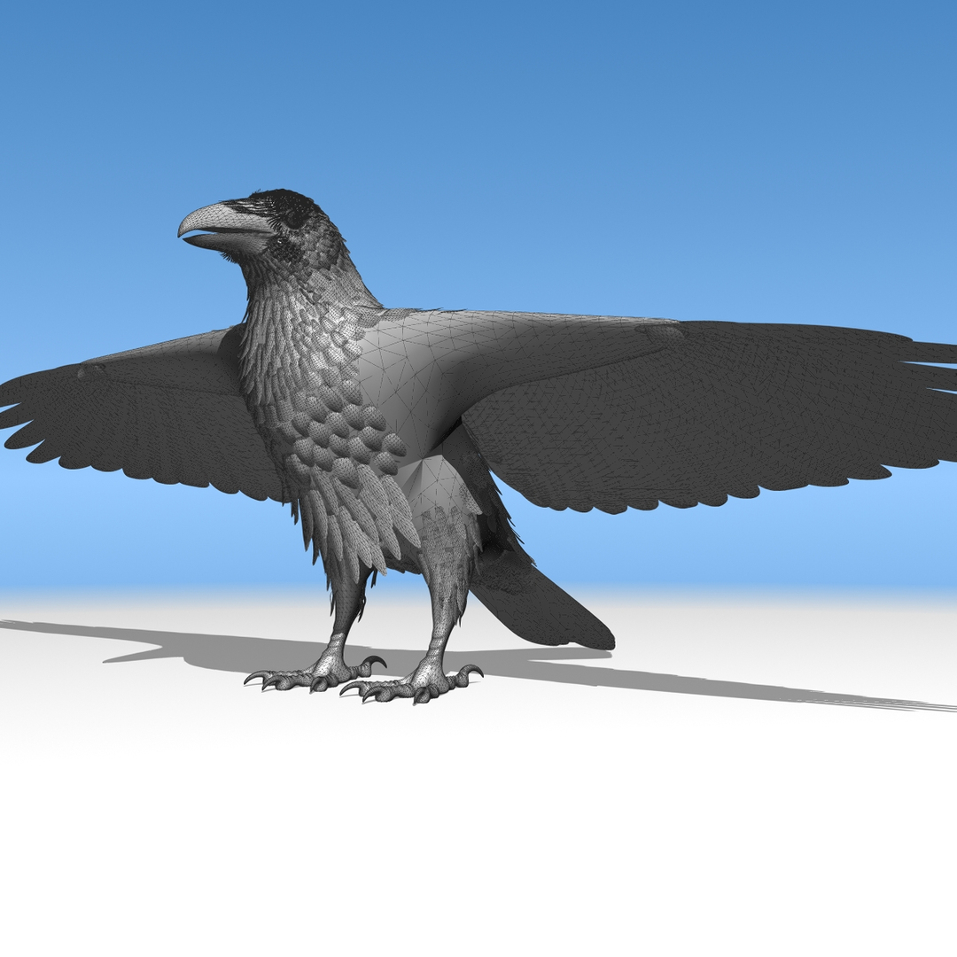 3d common raven https://p.turbosquid.com/ts-thumb/uC/vYKnm7/djw34QQX/ravengreyhigh/jpg/1361326542/1920x1080/turn_fit_q99/f9e20927e215a1cfeed87d38104a585727d9312e/ravengreyhigh-1.jpg