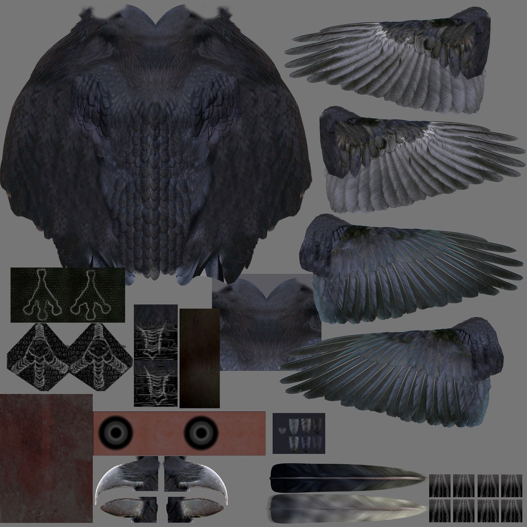 3d common raven https://p.turbosquid.com/ts-thumb/uC/vYKnm7/g2ACKcNB/ravenmap06/jpg/1361326466/1920x1080/fit_q87/297a244986e32210018fec675355532a04c25ca1/ravenmap06.jpg