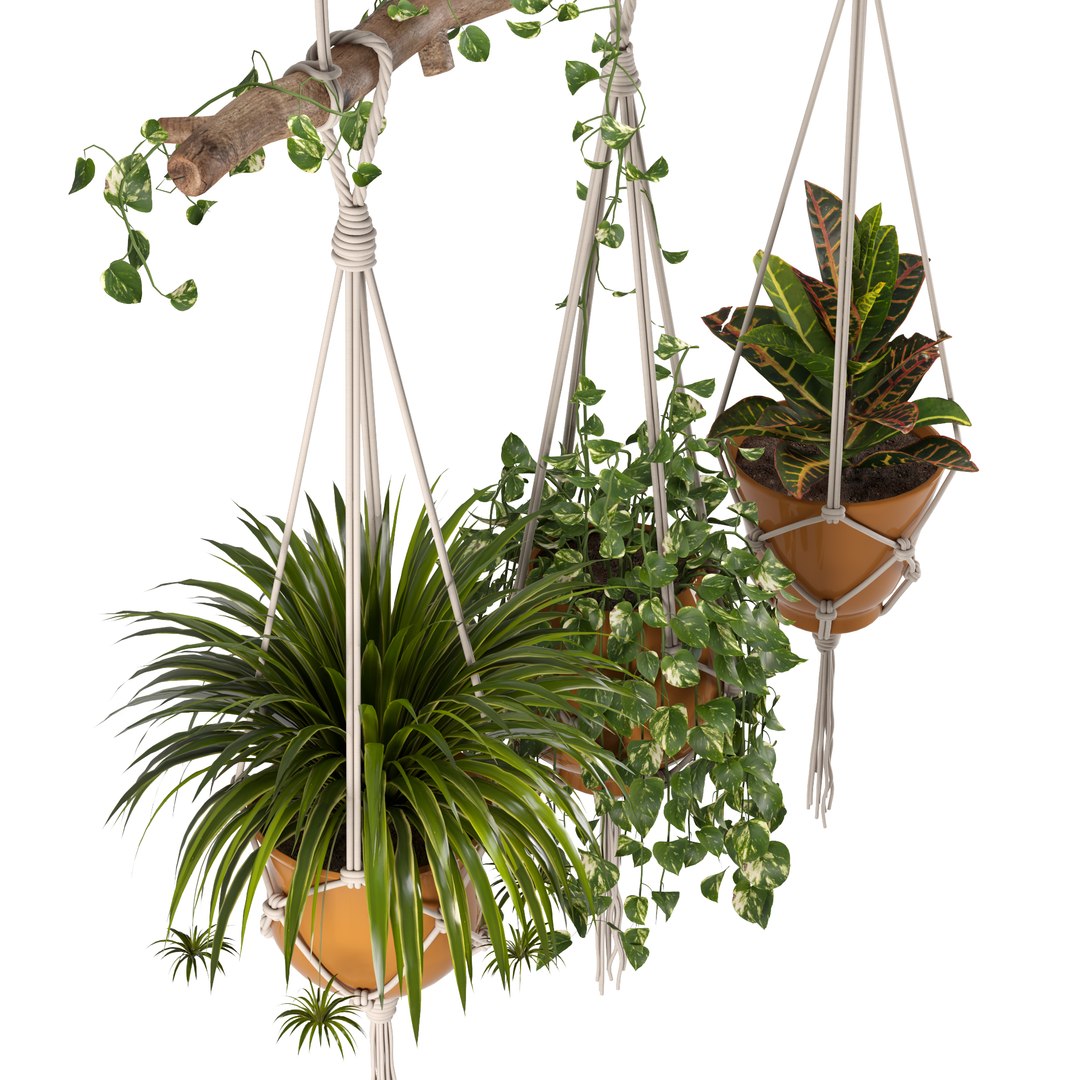 Indoor Plants Set 01-Hanging Plants with macrame 3D model https://p.turbosquid.com/ts-thumb/uD/4lxZsY/4n/indoorplantsset01hangingplantswithmacramepreview02/jpg/1663161285/1920x1080/fit_q87/87d98ad5e326b8ace23eb932f3f49e42dfa84e6d/indoorplantsset01hangingplantswithmacramepreview02.jpg
