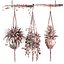 Indoor Plants Set 01-Hanging Plants with macrame