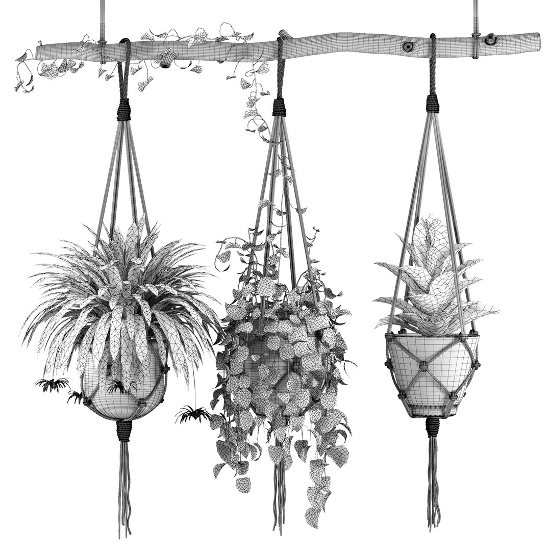 Indoor Plants Set 01-Hanging Plants with macrame 3D model https://p.turbosquid.com/ts-thumb/uD/4lxZsY/KC/wire/jpg/1663161633/1920x1080/fit_q87/f6438425bc2e2c7fda0e5704defe920f254ab8b4/wire.jpg
