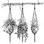 Indoor Plants Set 01-Hanging Plants with macrame