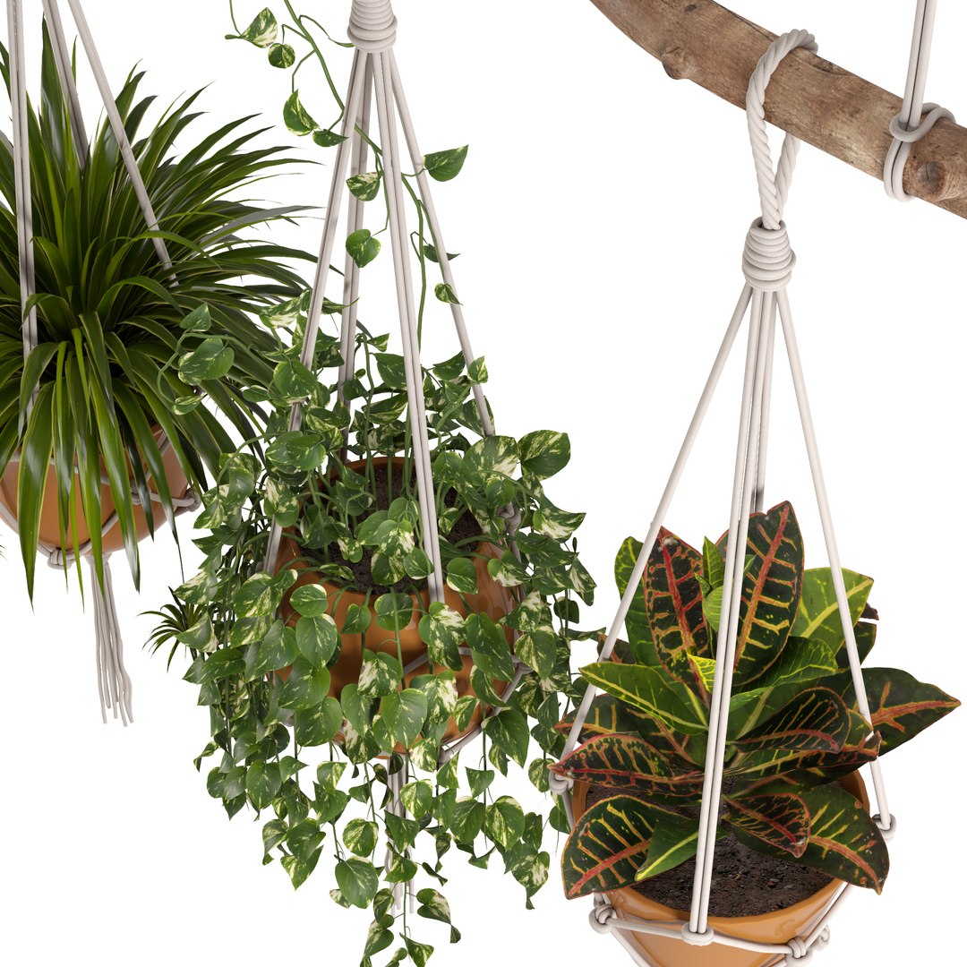 Indoor Plants Set 01-Hanging Plants with macrame 3D model https://p.turbosquid.com/ts-thumb/uD/4lxZsY/Nd/indoorplantsset01hangingplantswithmacramepreview04/jpg/1663161295/1920x1080/fit_q87/1738d5dbc12807ce51b562538f9c432e9c15537a/indoorplantsset01hangingplantswithmacramepreview04.jpg