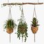Indoor Plants Set 01-Hanging Plants with macrame