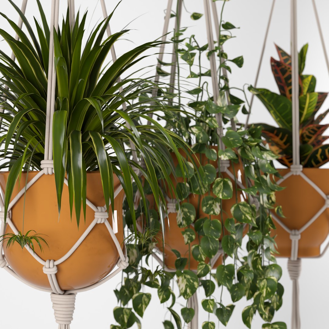 Indoor Plants Set 01-Hanging Plants with macrame 3D model https://p.turbosquid.com/ts-thumb/uD/4lxZsY/nx/indoorplantsset01hangingplantswithmacramepreview06/jpg/1663161301/1920x1080/fit_q87/5c679eeca3584e956d321ea0162316eed36eae4c/indoorplantsset01hangingplantswithmacramepreview06.jpg
