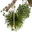 Indoor Plants Set 01-Hanging Plants with macrame