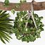 Indoor Plants Set 01-Hanging Plants with macrame