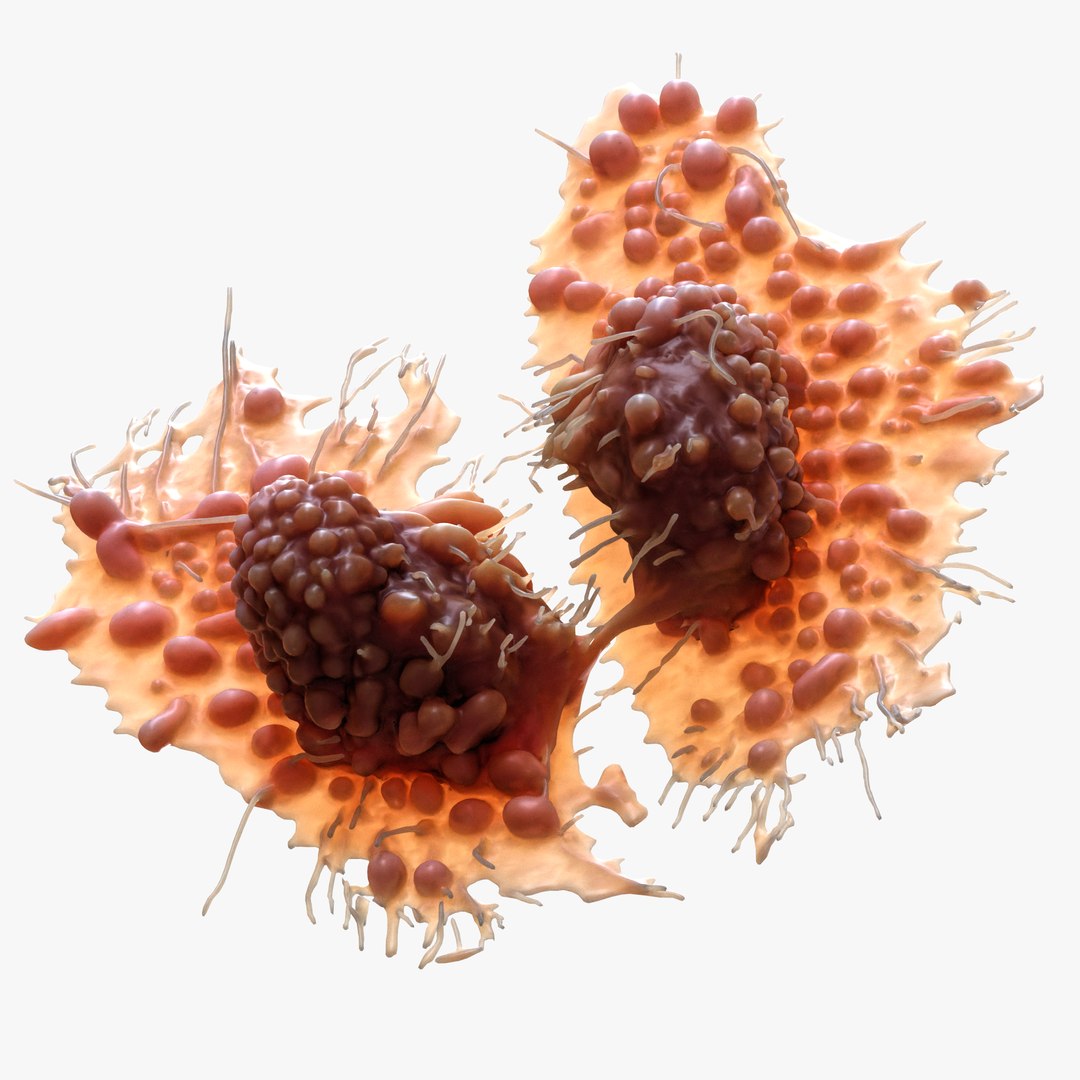 Cancer Cell Tumor 3D https://p.turbosquid.com/ts-thumb/uD/6BCRVE/Up/4/png/1746628768/1920x1080/fit_q87/10144992b133e0ecebf310fc30a595f173f48a27/4.jpg