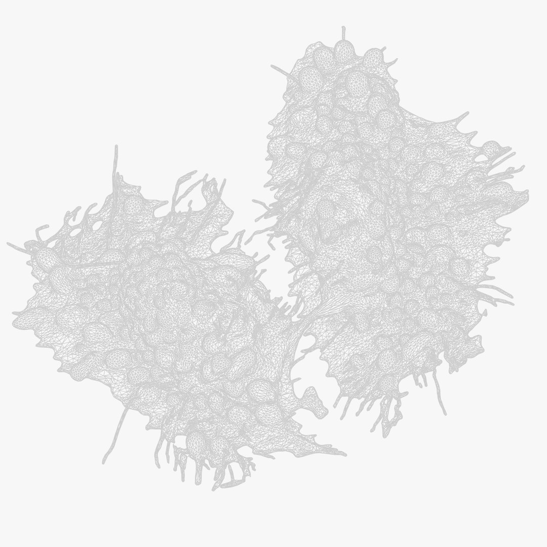 Cancer Cell Tumor 3D https://p.turbosquid.com/ts-thumb/uD/6BCRVE/V0/untitled_wireframe/png/1746628765/1920x1080/fit_q87/b846760db3c1daa4d85b97db8aecce2cda01a07b/untitled_wireframe.jpg