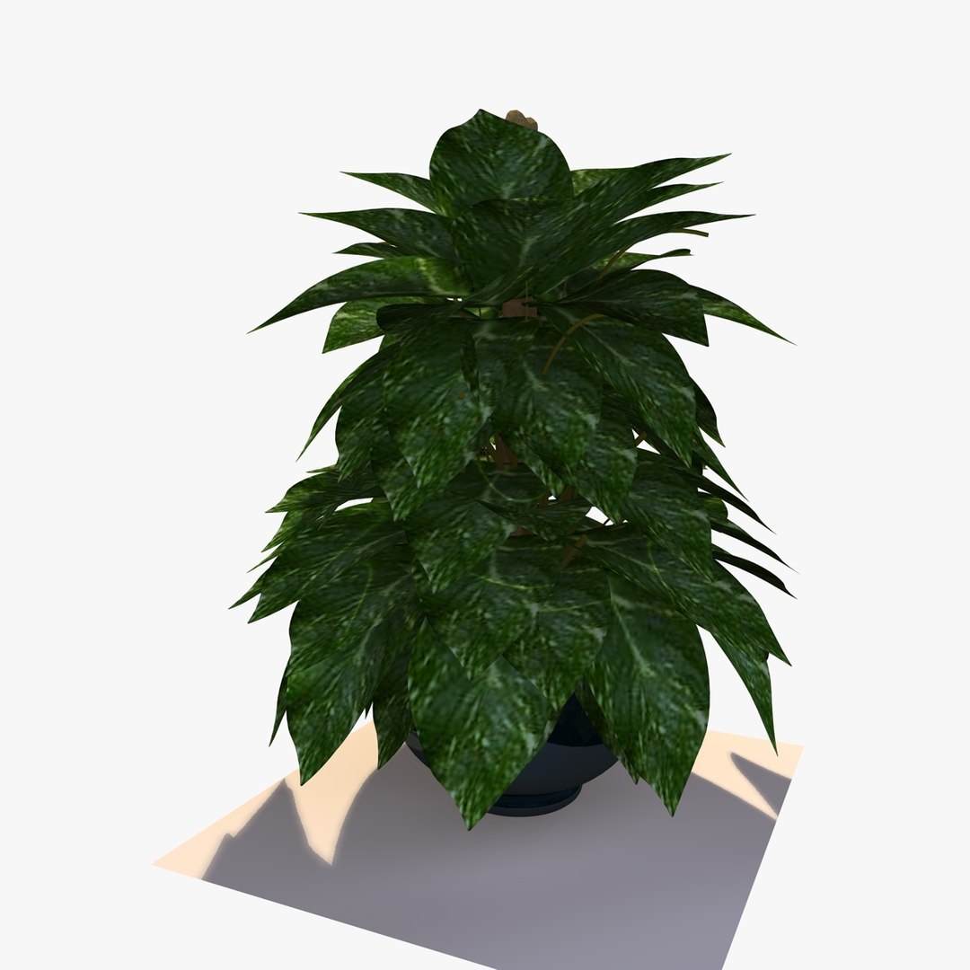 maya pothos house plant https://p.turbosquid.com/ts-thumb/uD/BDXqZl/Jjd9JXha/pathosplant3/jpg/1359664412/1920x1080/fit_q87/2b9027347958406166bdf94a606b52229586561a/pathosplant3.jpg