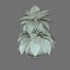 Planta de Pothos