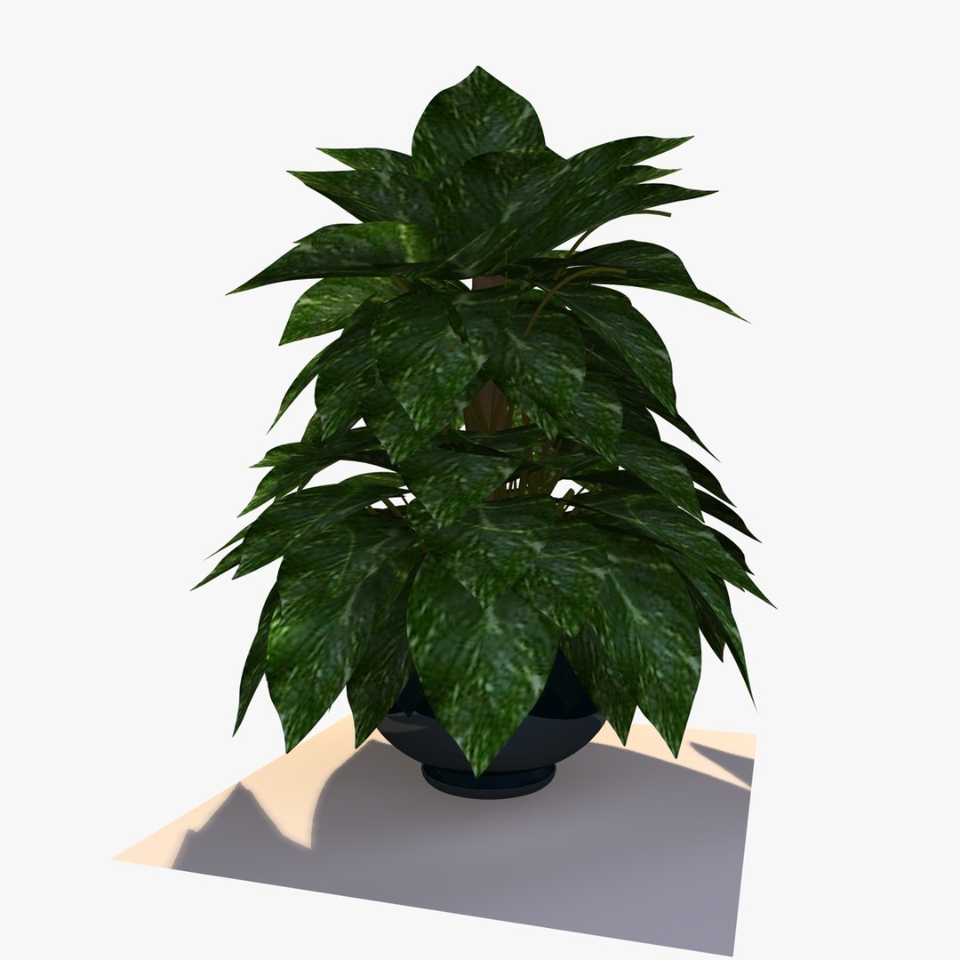 maya pothos house plant https://p.turbosquid.com/ts-thumb/uD/BDXqZl/qrAUPK1T/pathosplant4/jpg/1359664412/1920x1080/fit_q87/1cbe5bcfec4b2f5cb04d99ac26823340bd7256b4/pathosplant4.jpg