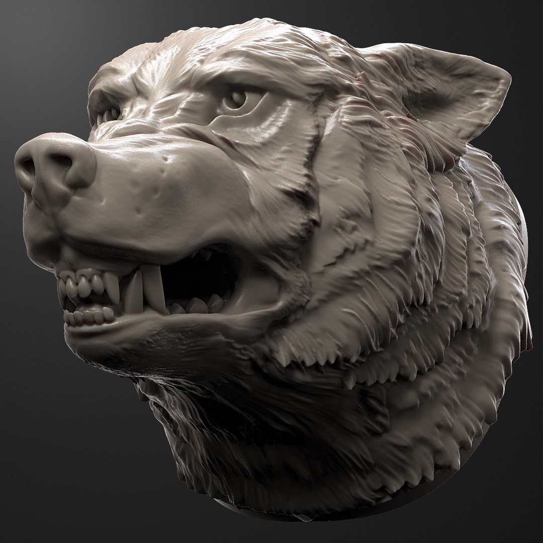 Wolf Head 3D Model - TurboSquid 1216626