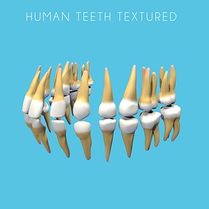 human teeth texture