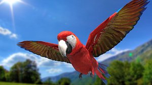 3D scarlet macaw