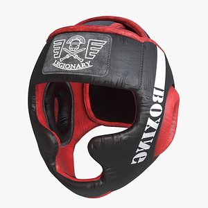 Boxing Headgear Guard model