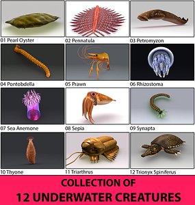 Collection of 12 Under water creatures PACK - 4