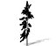 Conifer Tree 005