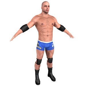 3D wrestler games