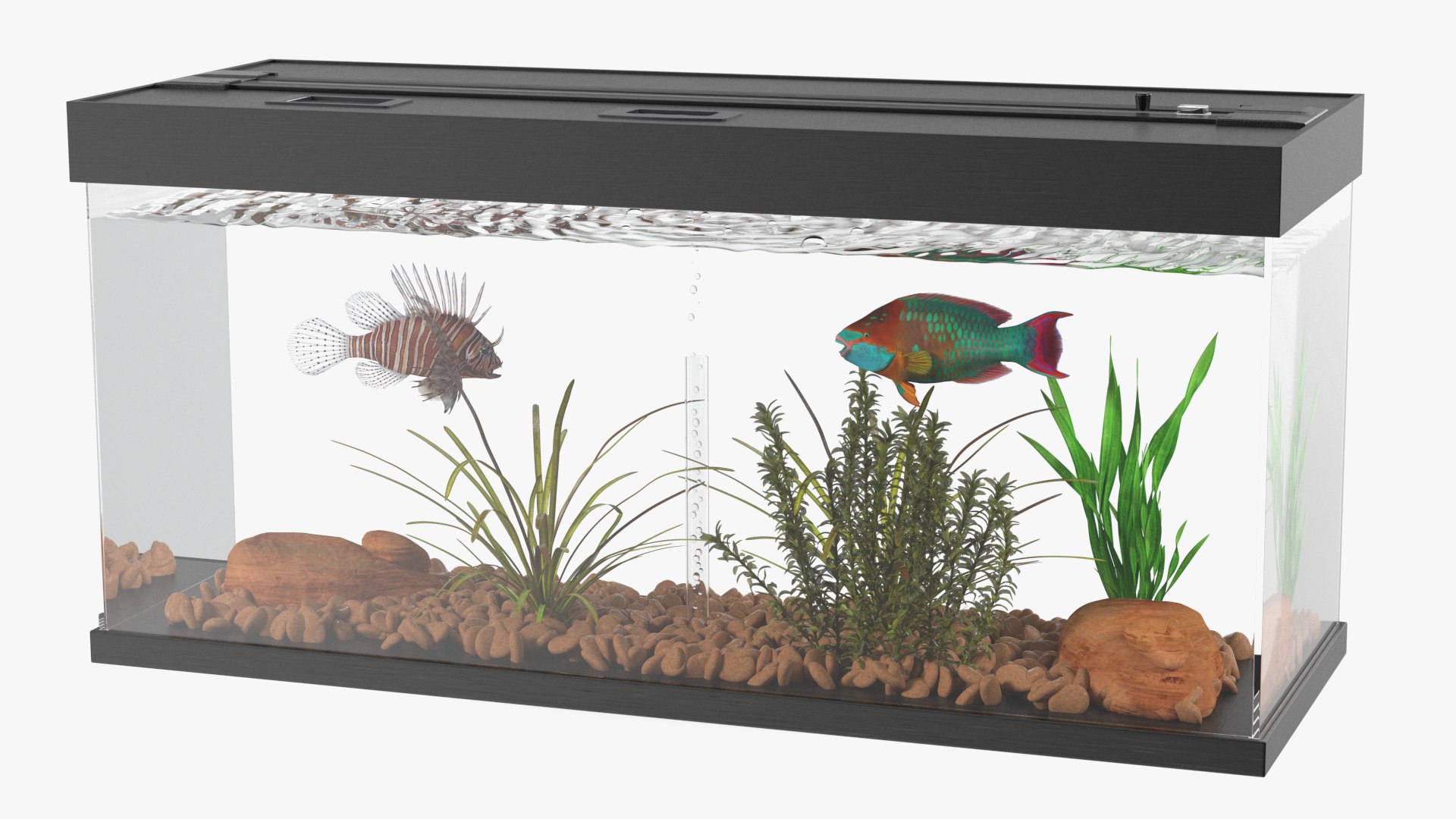 Aquarium Long Black 3D model preview