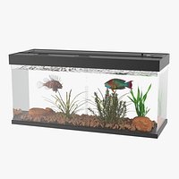 Aquarium Long Black